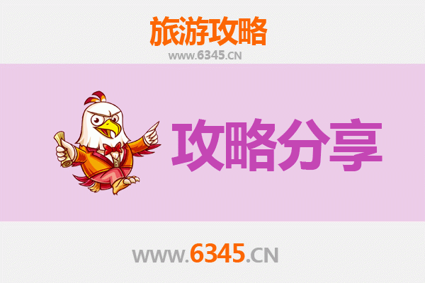 玉树至湄洲岛旅游攻略：跟团还是自由行？资深博主深度解析